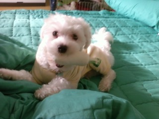 이 야심한 새벽에 ㅠ ㅠ흑 .. 