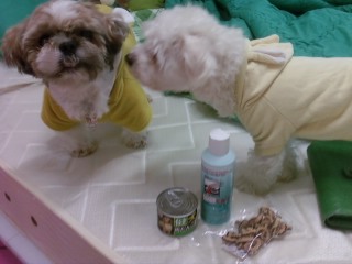 둘리님 납셨어요 ^ㅡ^;; 