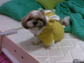 둘리님 납셨어요 ^ㅡ^;; 