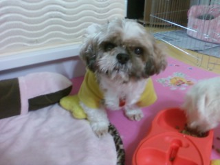 둘리님 납셨어요 ^ㅡ^;; 