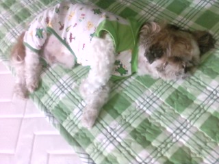 둘리님 납셨어요 ^ㅡ^;; 