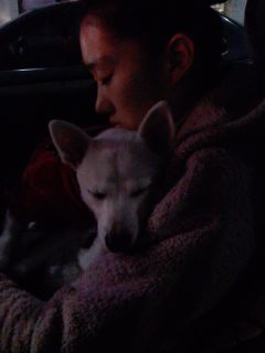 쭌이가 웃어요 :)