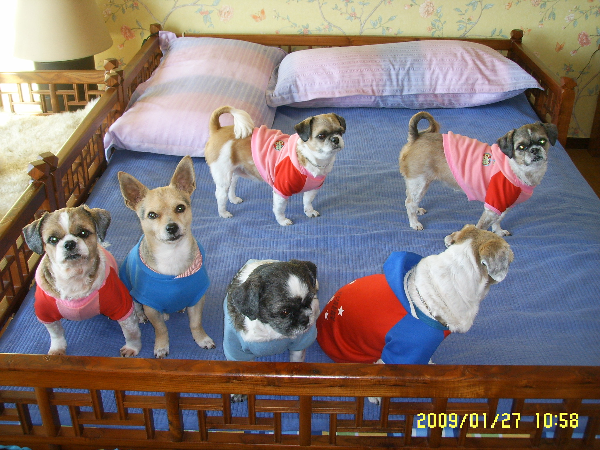 따로...또...같이!