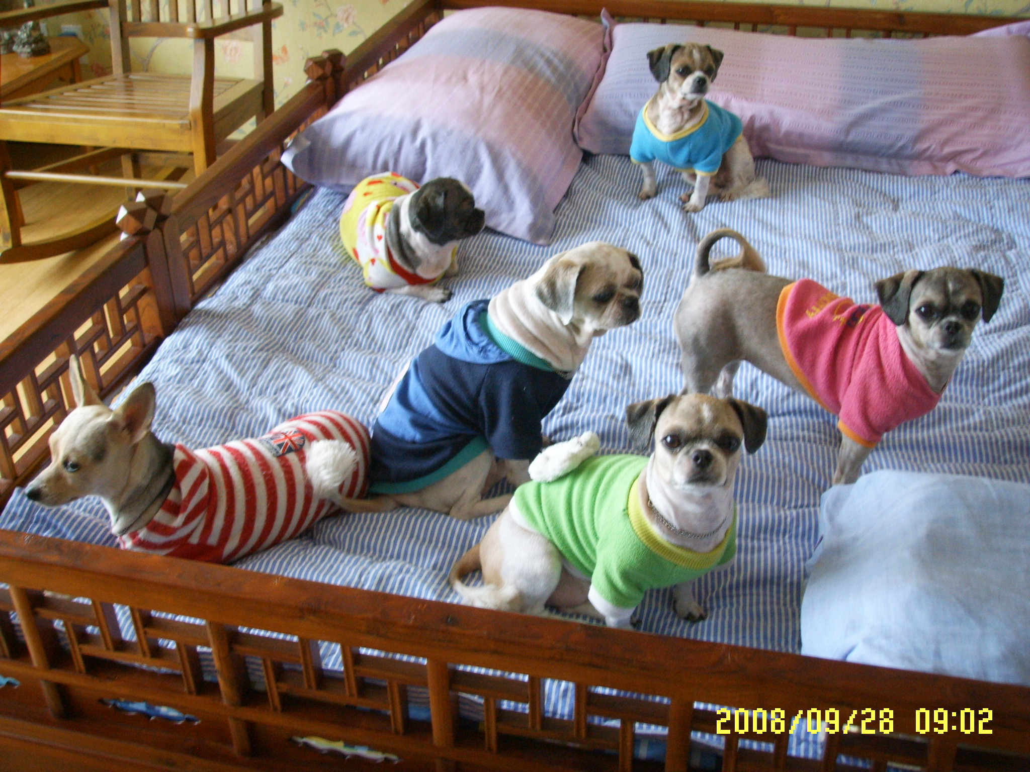 따로...또...같이!