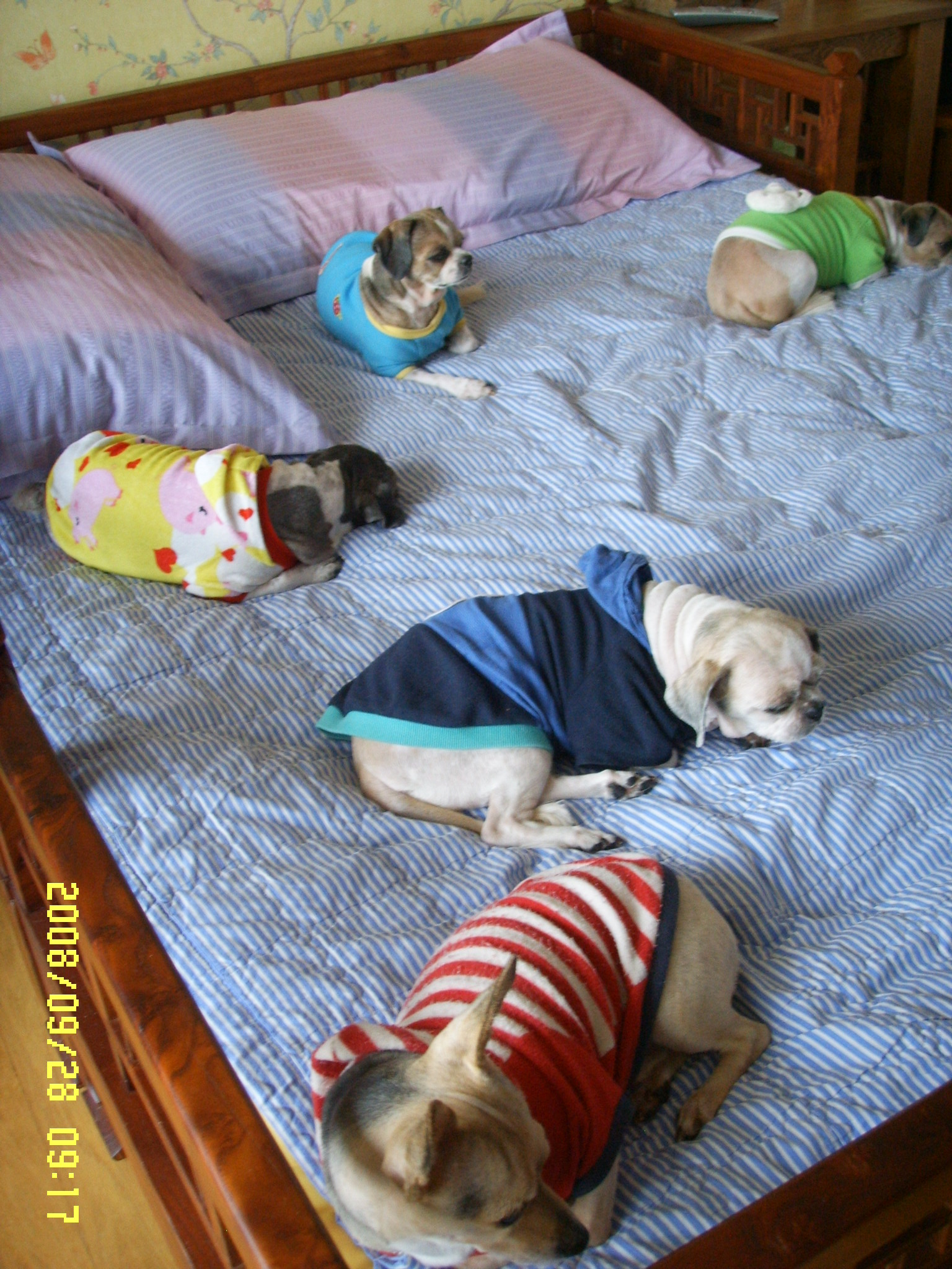 따로...또...같이!