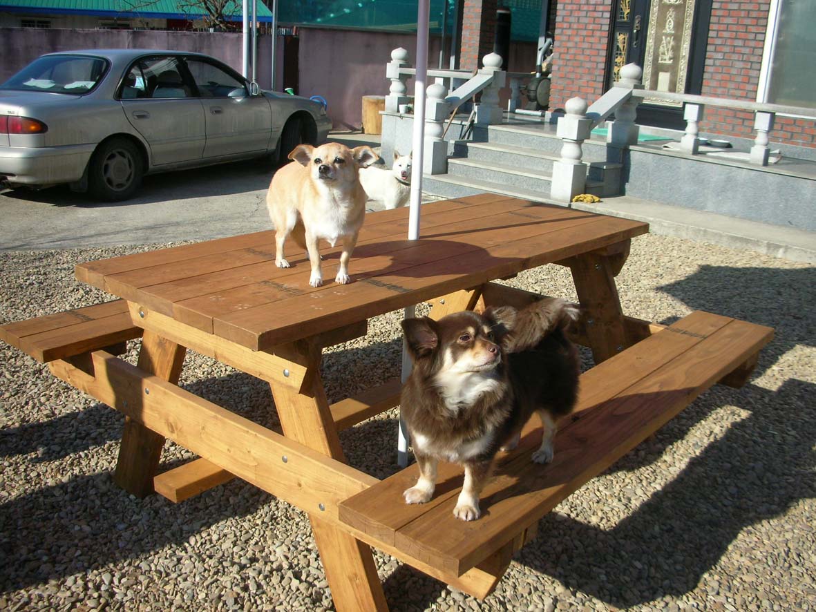 털 다 자랐어요~~~