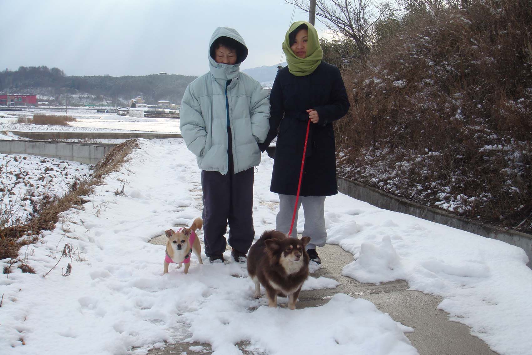 털 다 자랐어요~~~
