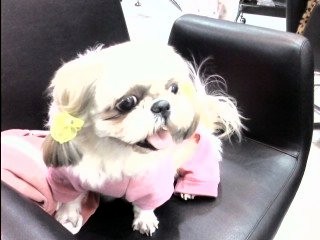 완전 럭셔리한 바다 ^^