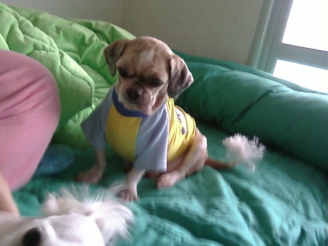 에구 너무 오랫만에 ^ㅡ^;;