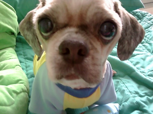 에구 너무 오랫만에 ^ㅡ^;;