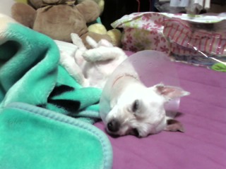 하트 사진 올려요~^^