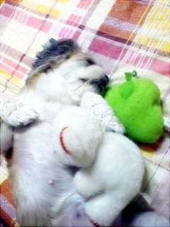 오랜만에 인사드려요..