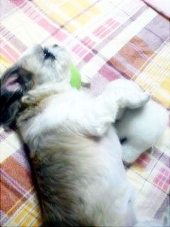 오랜만에 인사드려요..