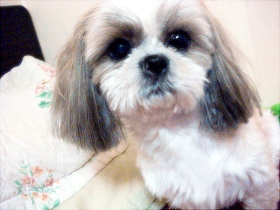 오랜만에 인사드려요..