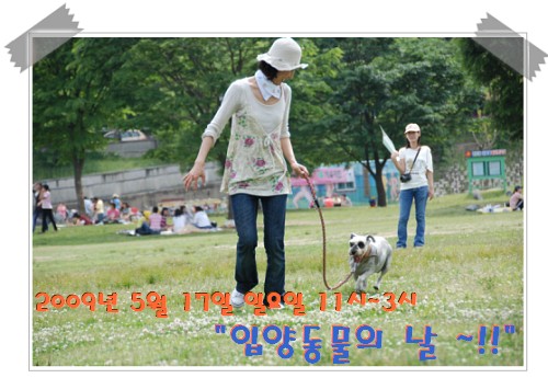 <font color=#156200>5월 17일- '입양동물의 날'이 돌아왔어요 ^^