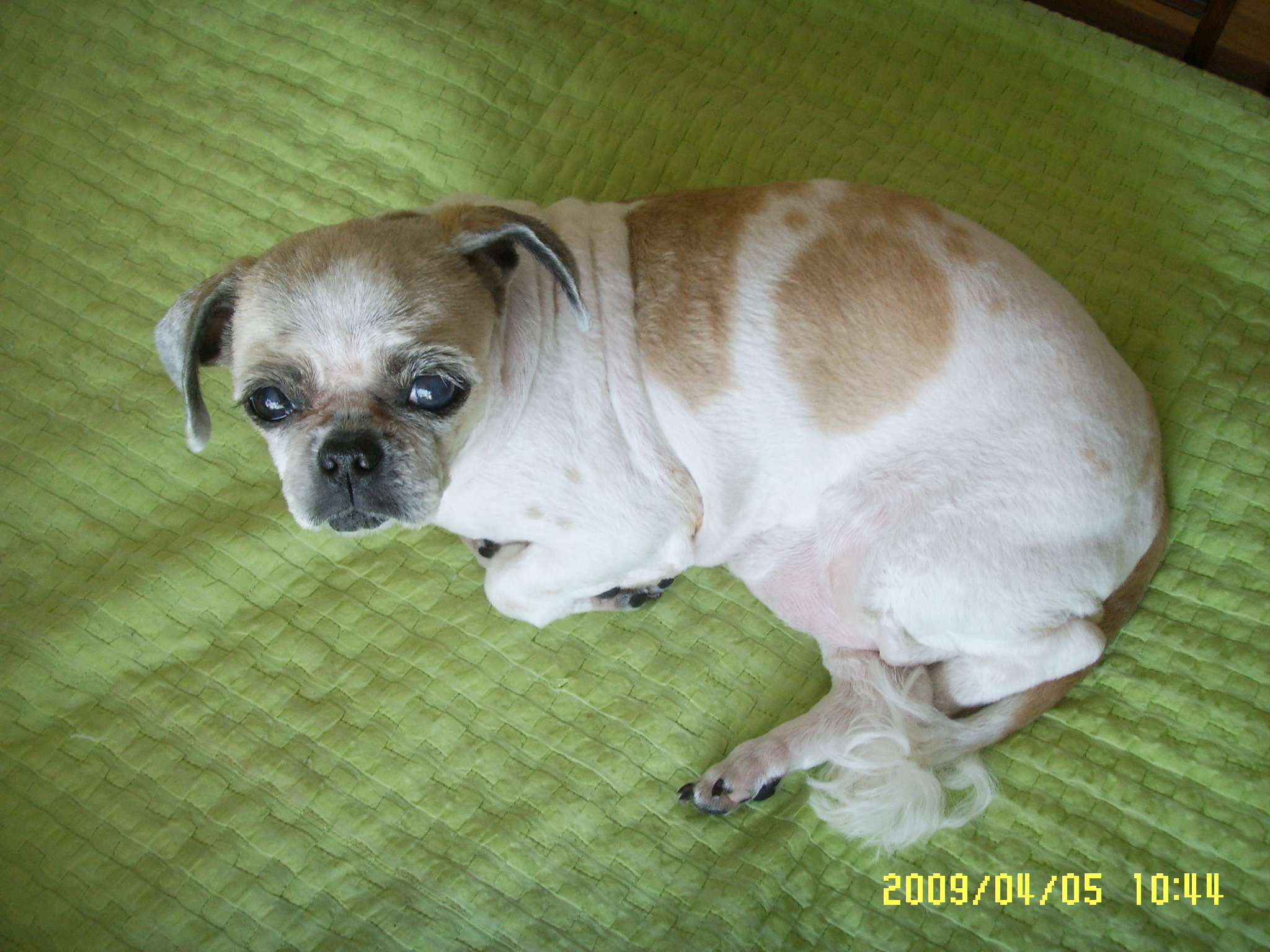 못가서 죄송해요!