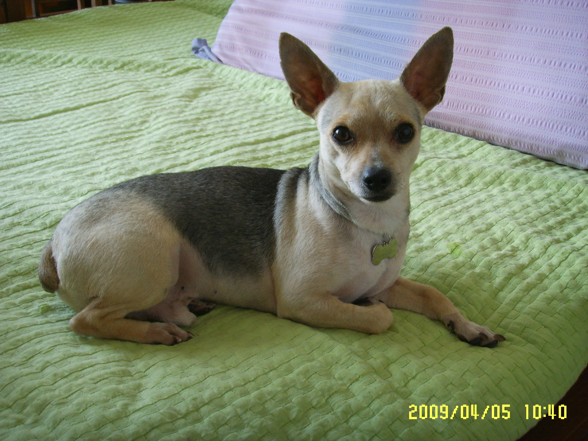 못가서 죄송해요!