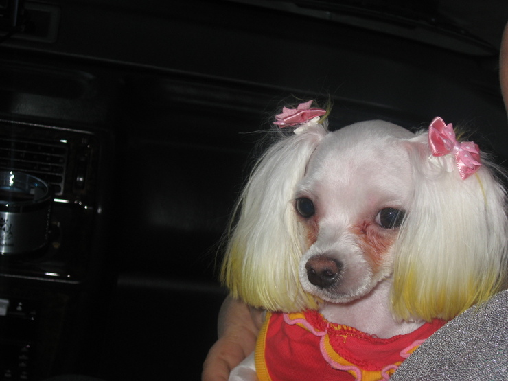 딸기 입양했어여