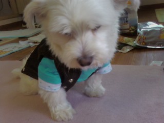 하루네랍니다~^-^