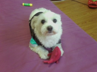 하루네랍니다~^-^