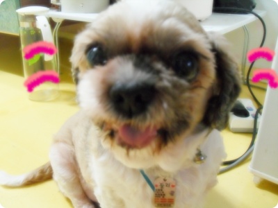 둘리할배 -♬(사진내용)