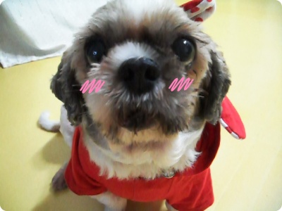 둘리할배 -♬(사진내용)