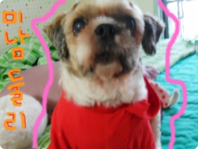 둘리할배 -♬(사진내용)