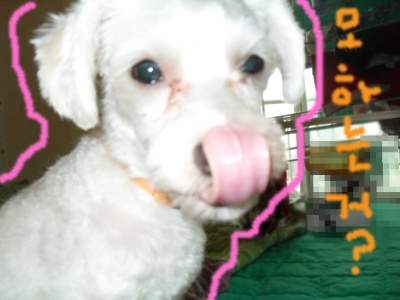 둘리할배 -♬(사진내용)