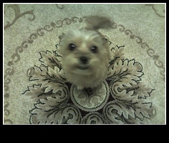 포미가 좋은곳으로 갔으면 합니다..