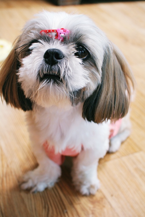 우리뽀^^