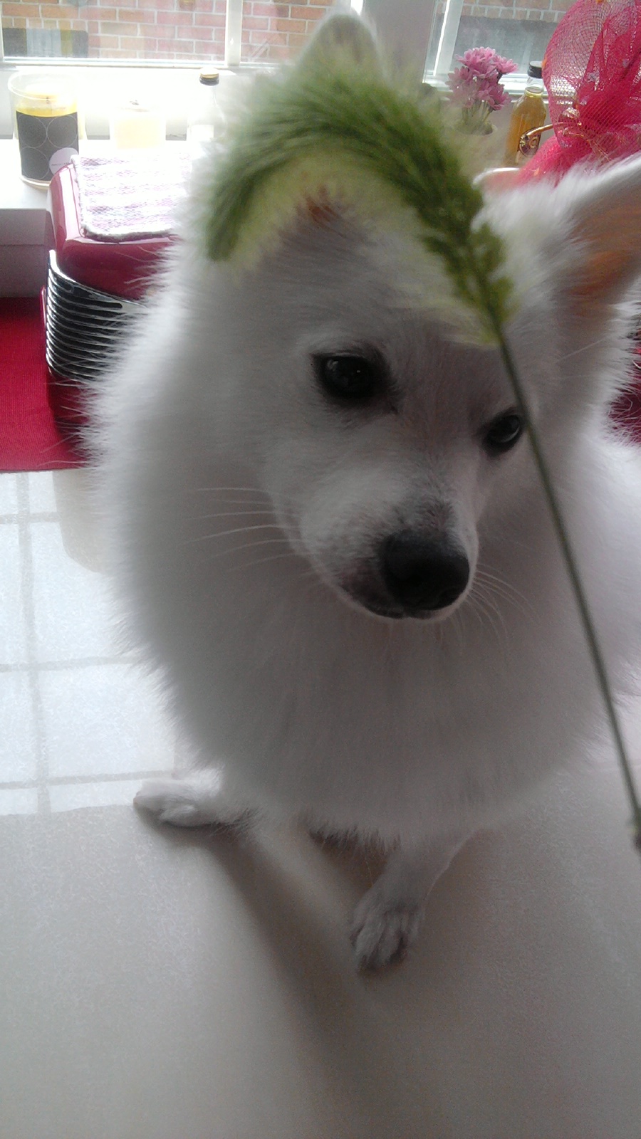 오랜만이에요 :)