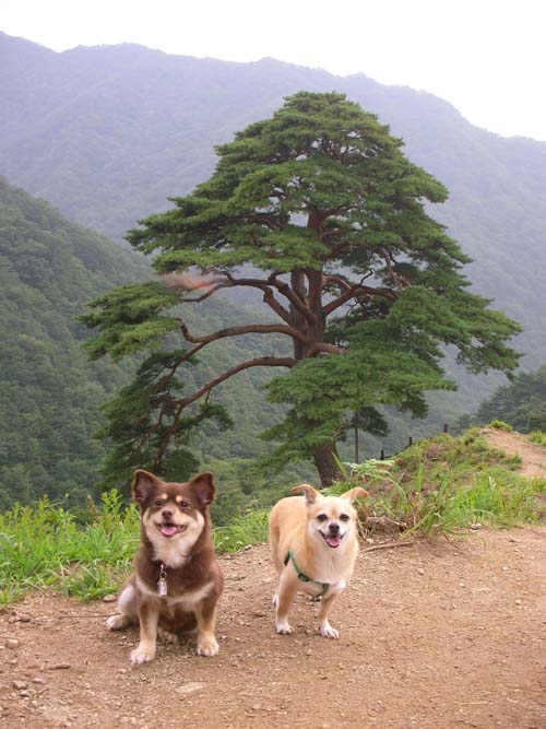 크리스도 잘지내고 있어요~~