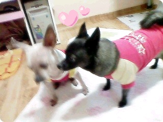 우리까망이♡