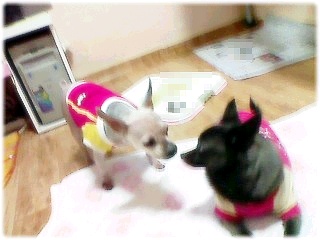 우리까망이♡
