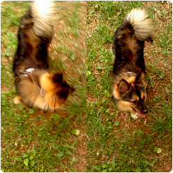 산책 중 베를린 ㅎ