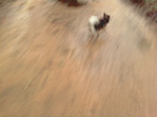 베를린 빗속의 산책