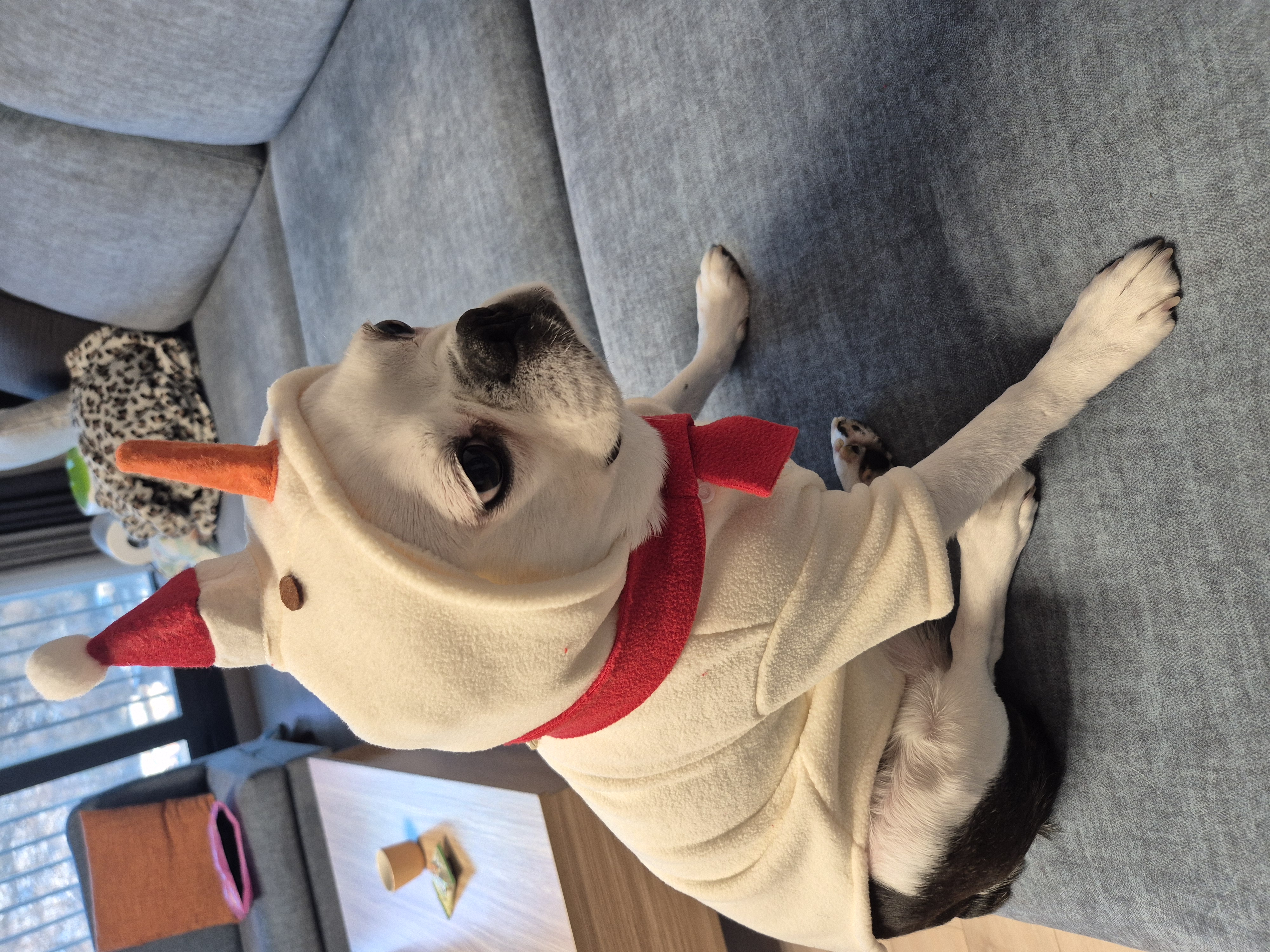 애둥이 근황^^ 오랜만이네요.