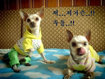 (주의!) 식사전에는 절대 열지마세요