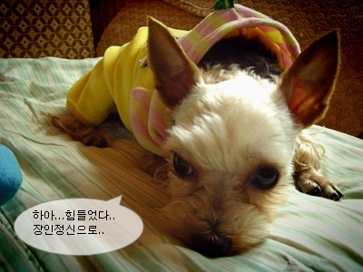 (주의!) 식사전에는 절대 열지마세요