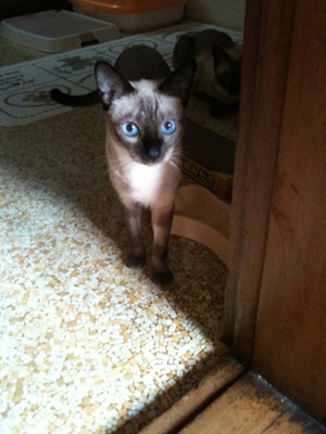 말썽꾸러기들.....