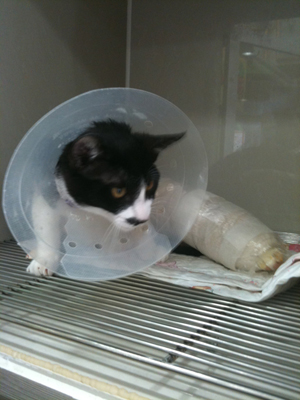 말썽꾸러기들.....