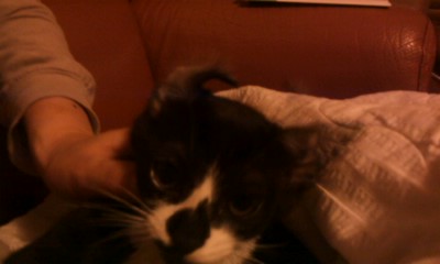 턱시도 사순이~