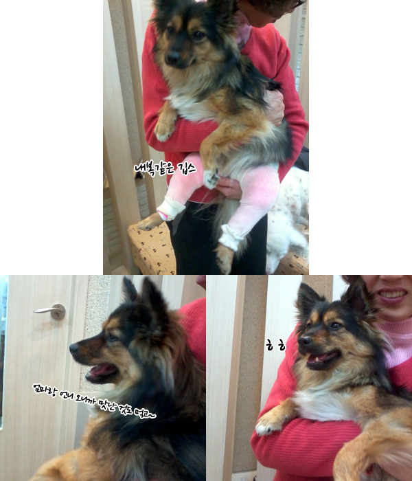 베를린 두 번째 면회~