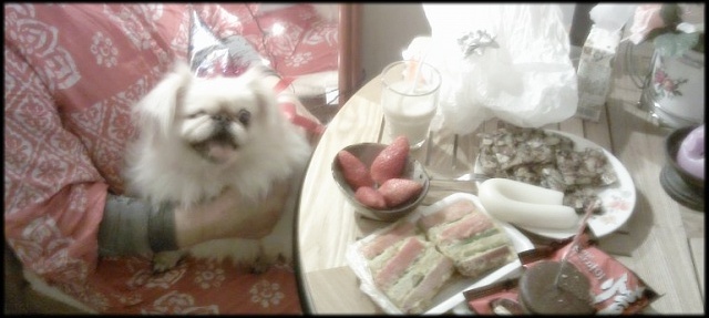 줄리엣1주년기념파티!