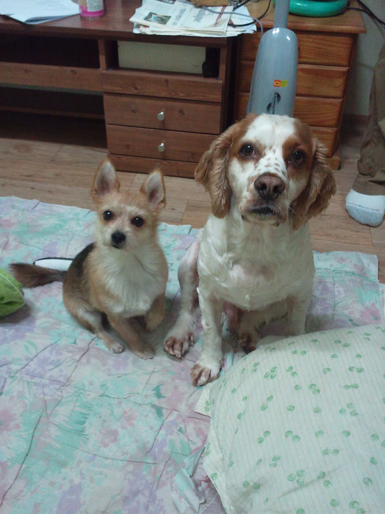 봉많형제의 겨울나기