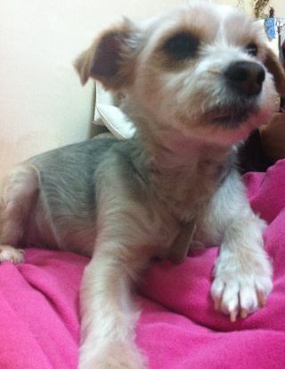 써니 소식이예요.^-^*