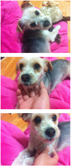 써니 소식이예요.^-^*