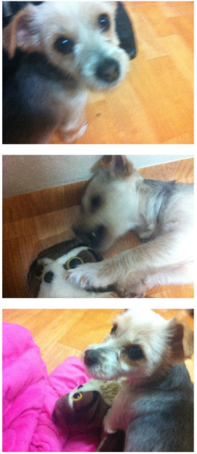 써니 소식이예요.^-^*