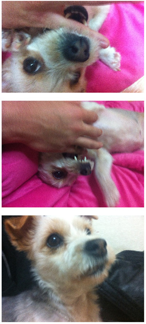 써니 소식이예요.^-^*