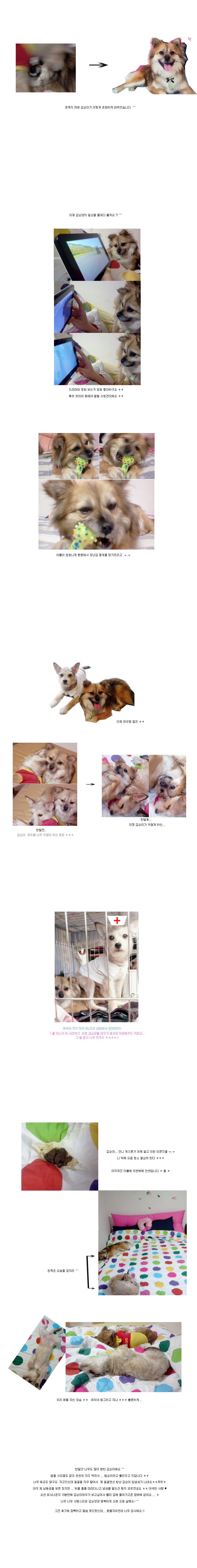 즐거운  갑순양 ^^